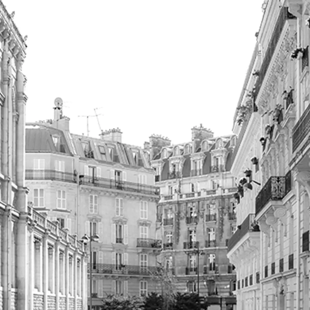 Immeubles Parisiens