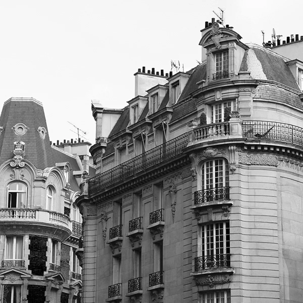 Immeubles Parisiens