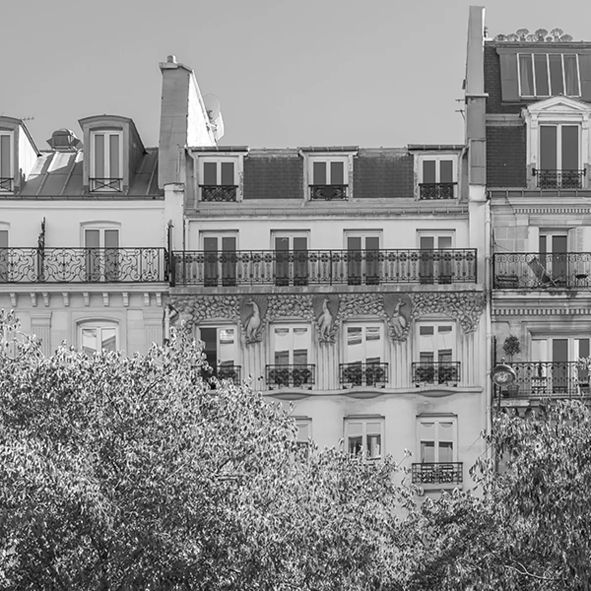 Immeubles Parisiens